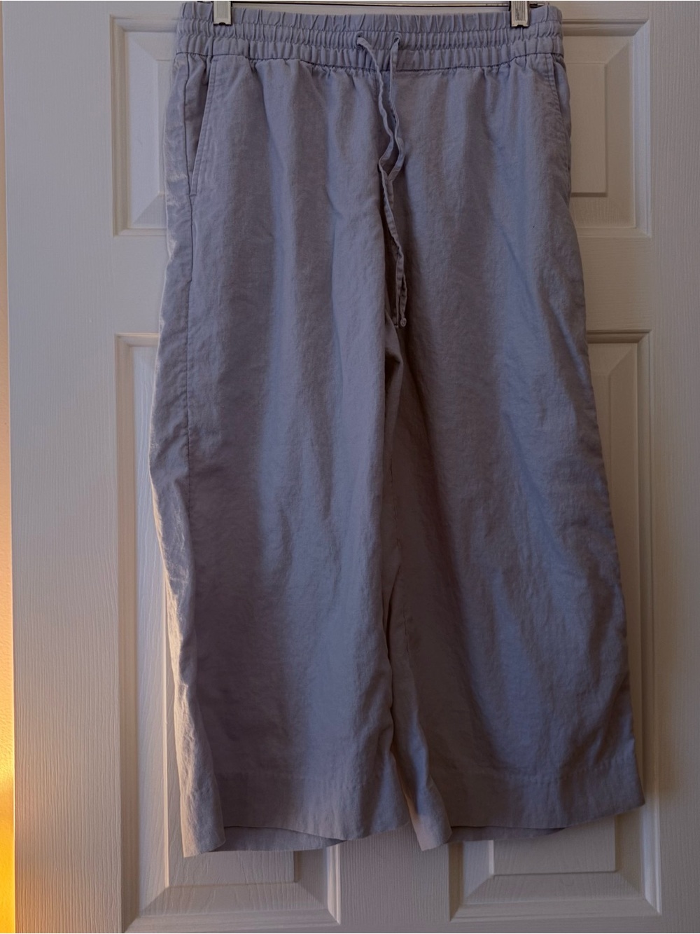 Banana Republic Wide-Leg Pants in Light Blue